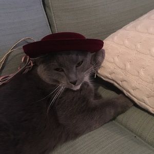 Meet your Posher, Danielle